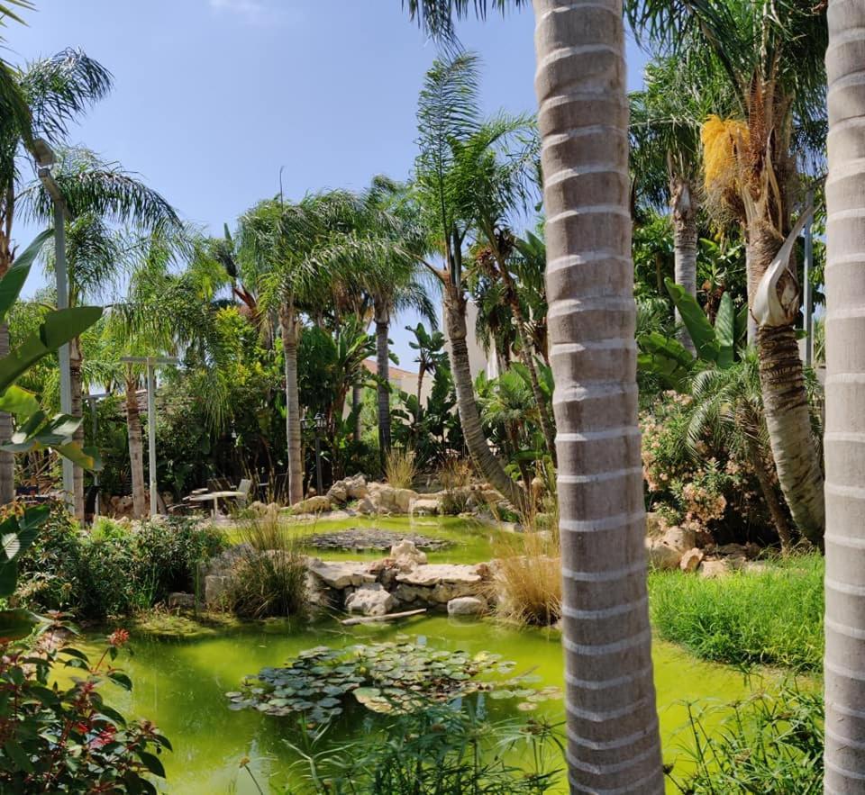 Garden Luxury Apartment Ayia Napa Exterior photo